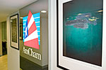 Palimpsest exhibition at AmCham